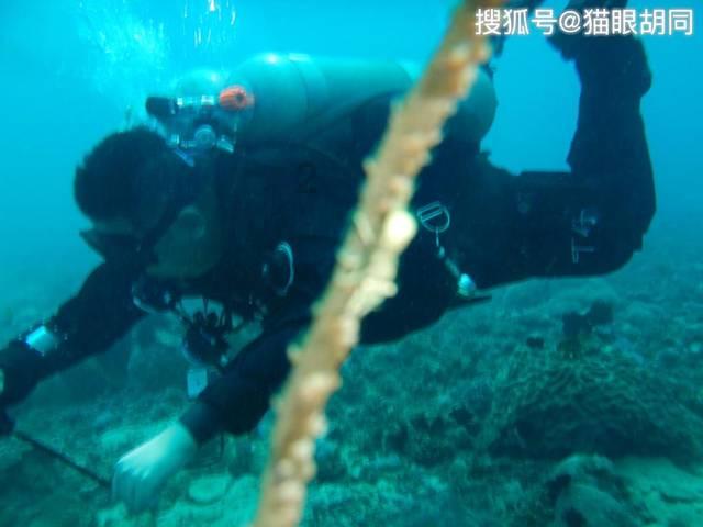找到旅店窃贼
